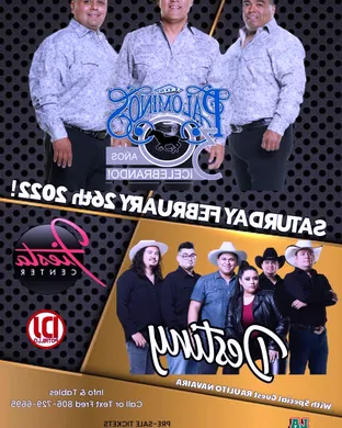 Los Palominos