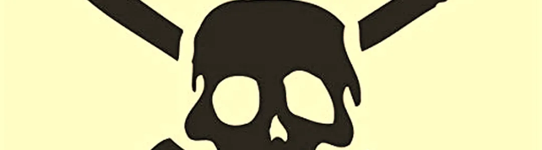 Teenage Bottlerocket