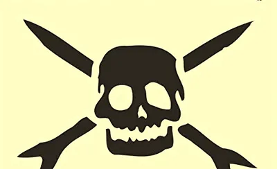 Teenage Bottlerocket