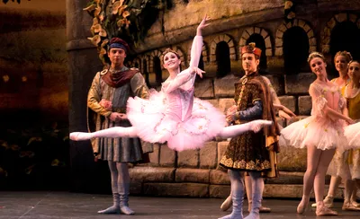 The Sleeping Beauty - Ballet