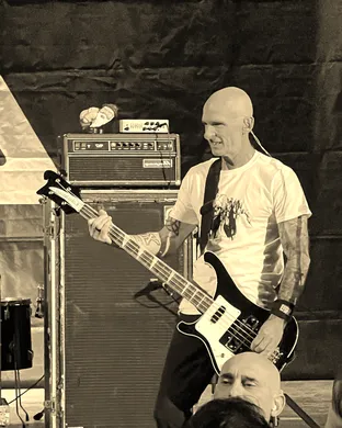 Toadies